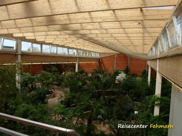 Schmetterlingspark Fehmarn