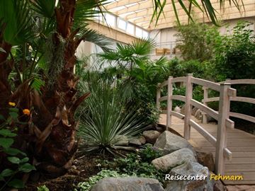 Schmetterlingspark Fehmarn
