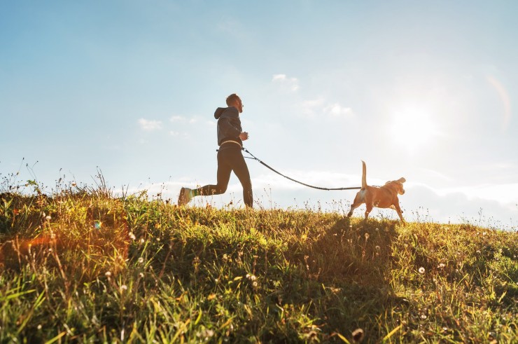 Joggen mit Hund auf Fehmarn Joggen mit Hund auf Fehmarn