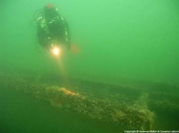 Tauchen auf Fehmarn Tauchen auf Fehmarn