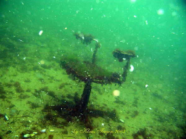 Tauchen auf Fehmarn